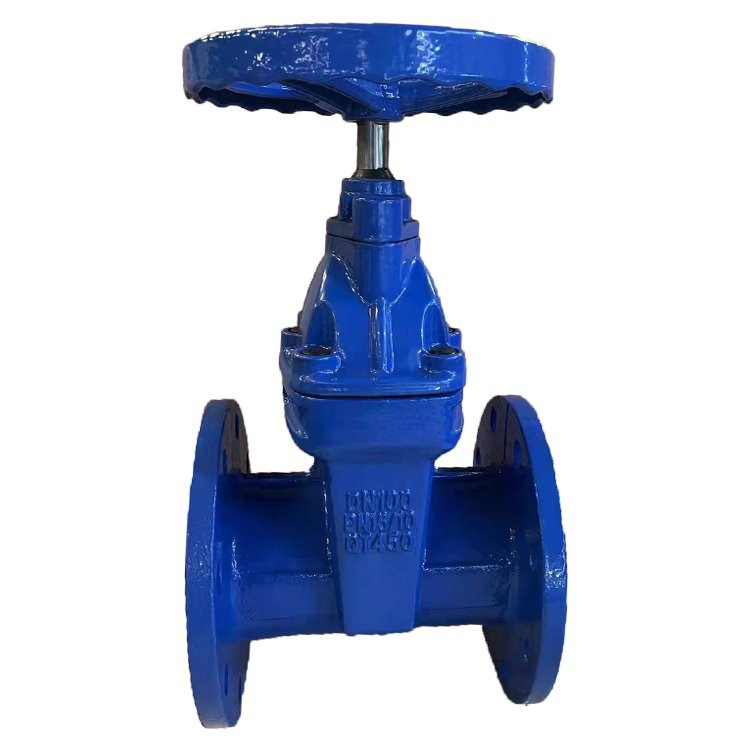BS5163 Resilient Gate Valve