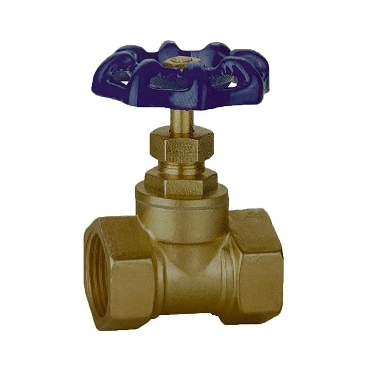 Female Thread Check Valve